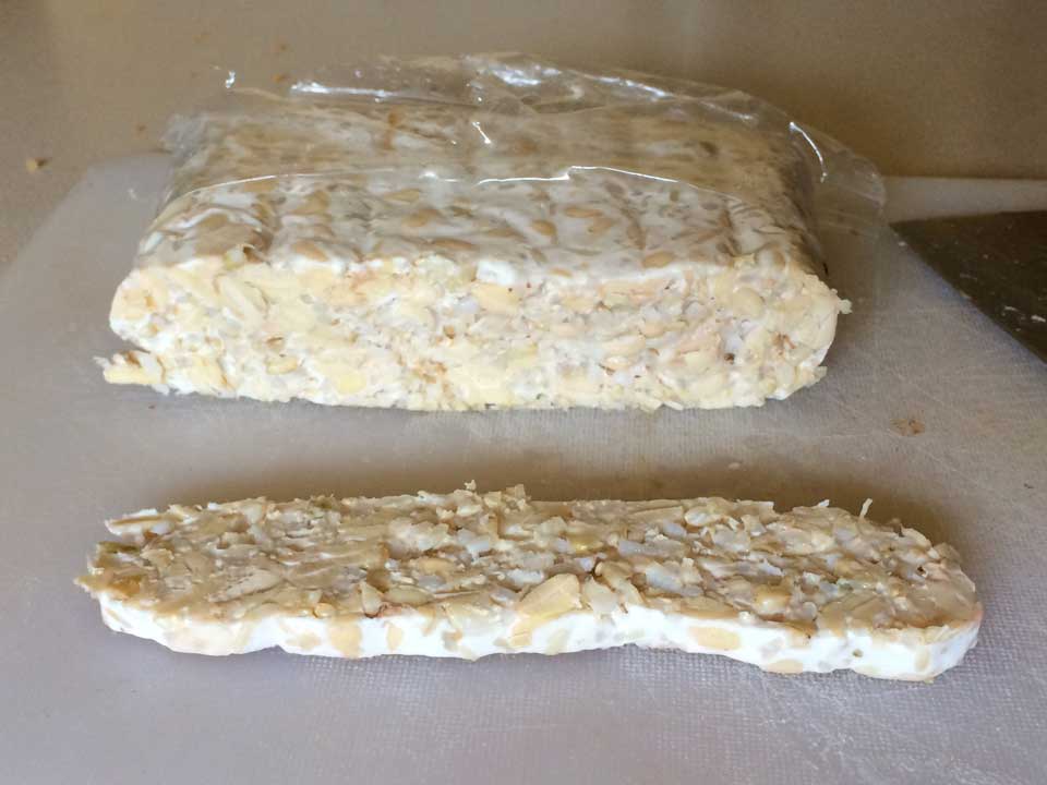 tempeh